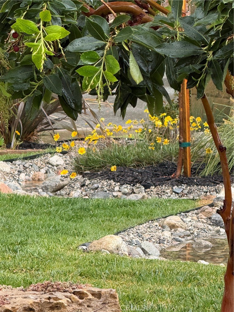 5909 Old Wheeler Road La Verne, CA 91750 - Photo 52 of 56 Swales retaining water