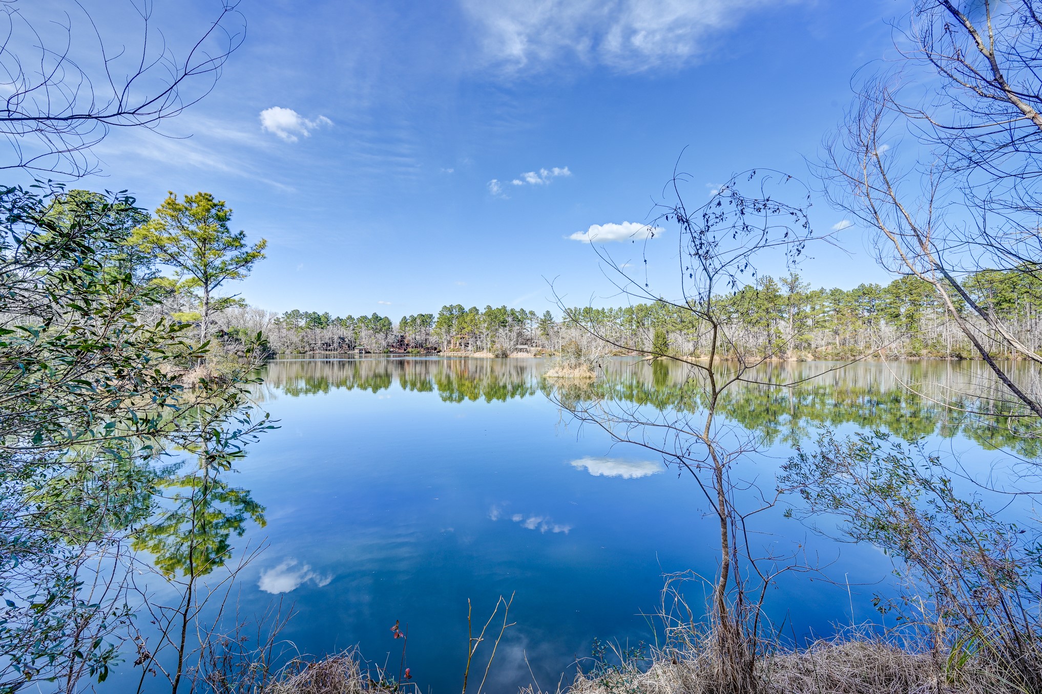 53 Smith Loop North Cleveland, TX 77327 - Photo 11 of 49 a view of a yard
