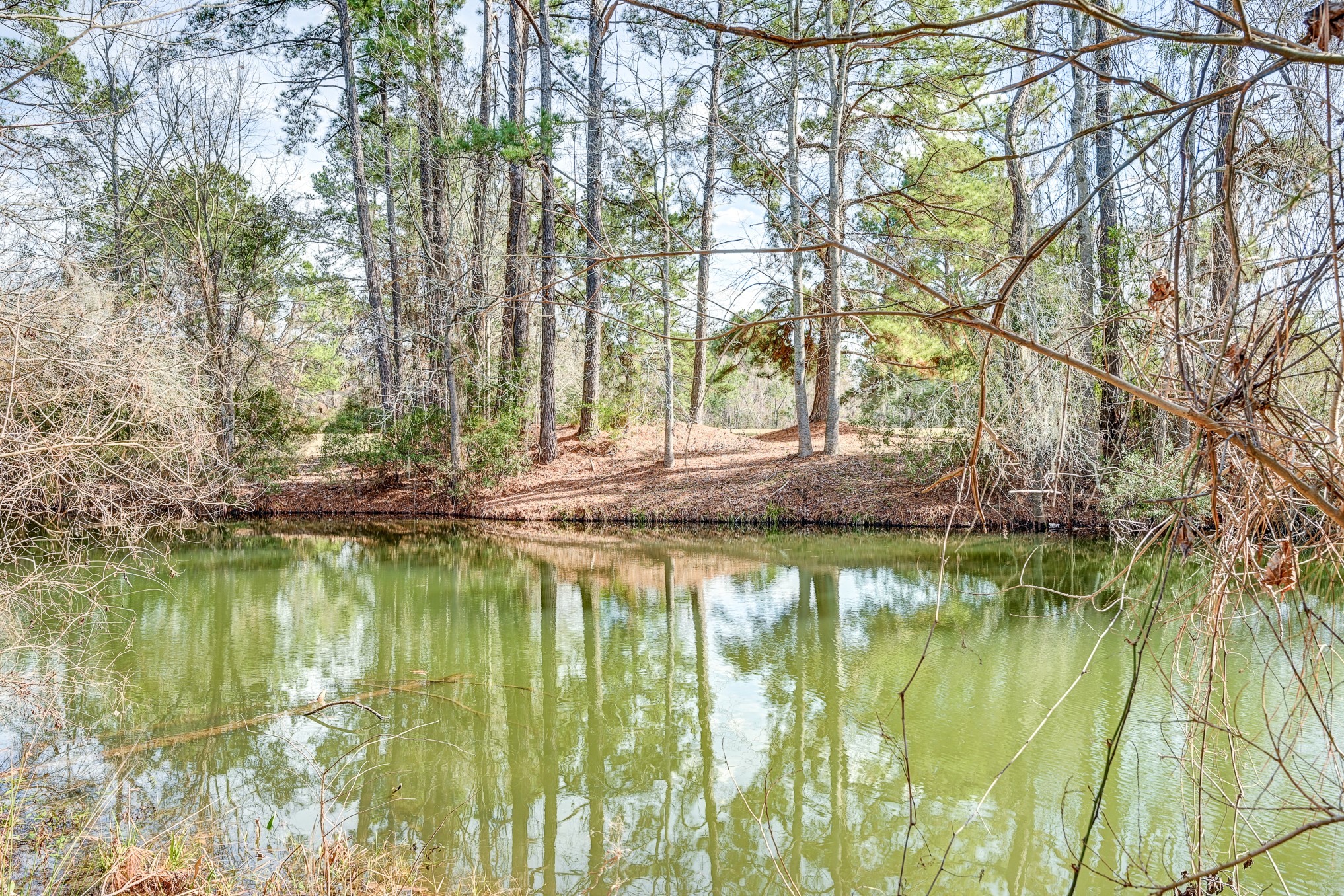 53 Smith Loop North Cleveland, TX 77327 - Photo 12 of 49 a view of swimming pool with yard