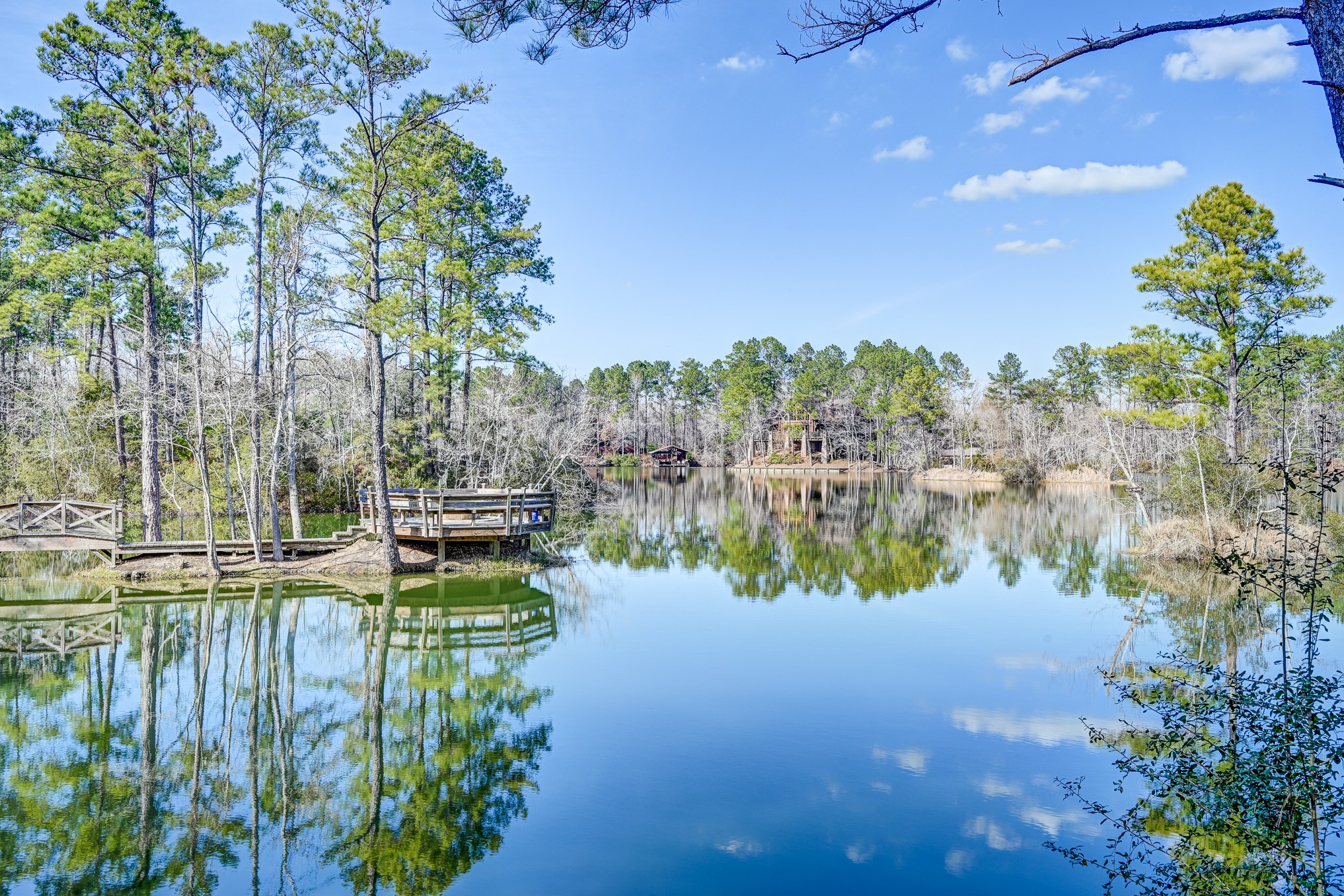 53 Smith Loop North Cleveland, TX 77327 - Photo 13 of 49 a backyard of a house with a yard and outdoor seating