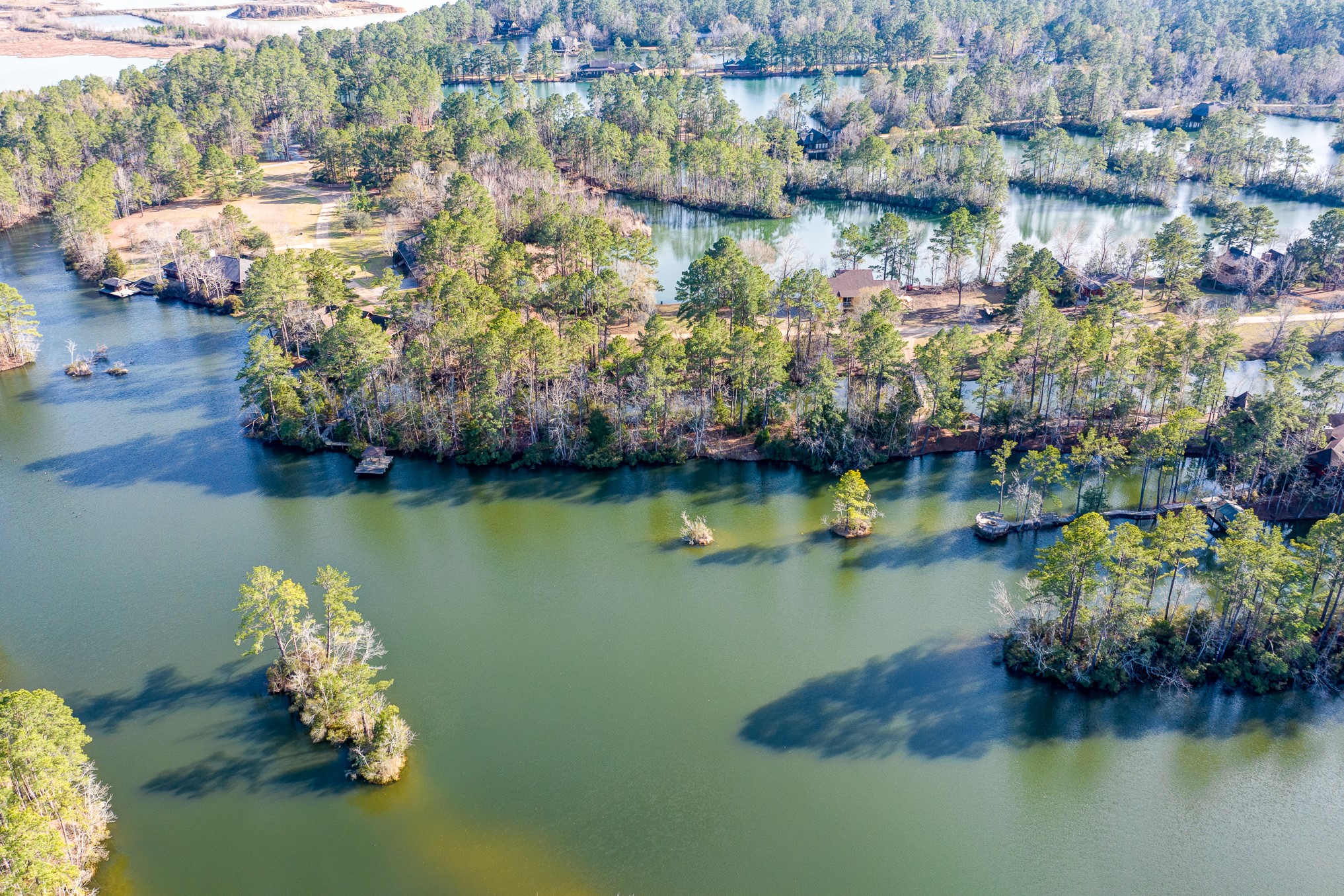 53 Smith Loop North Cleveland, TX 77327 - Photo 14 of 19