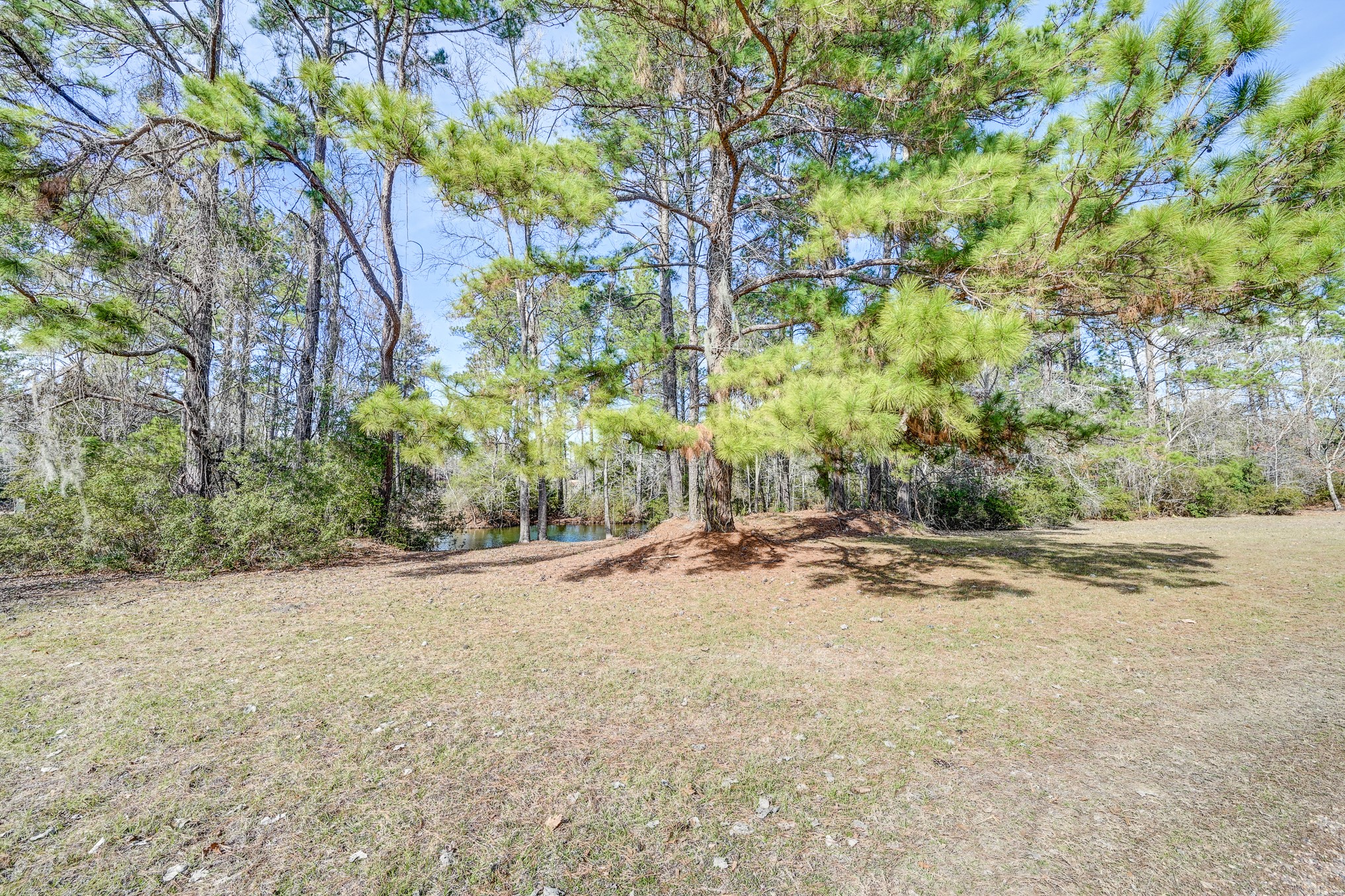 53 Smith Loop North Cleveland, TX 77327 - Photo 15 of 49 a view of a yard with a tree