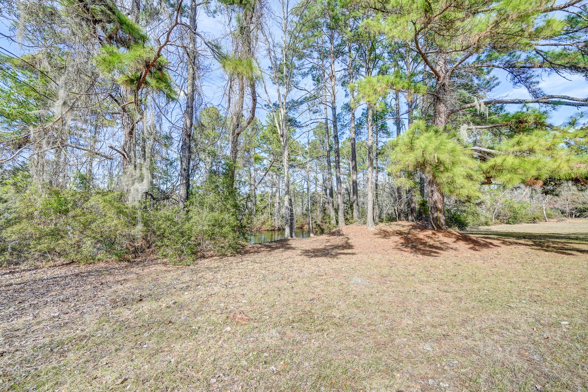 53 Smith Loop North Cleveland, TX 77327 - Photo 16 of 49 a backyard of a house with a large tree