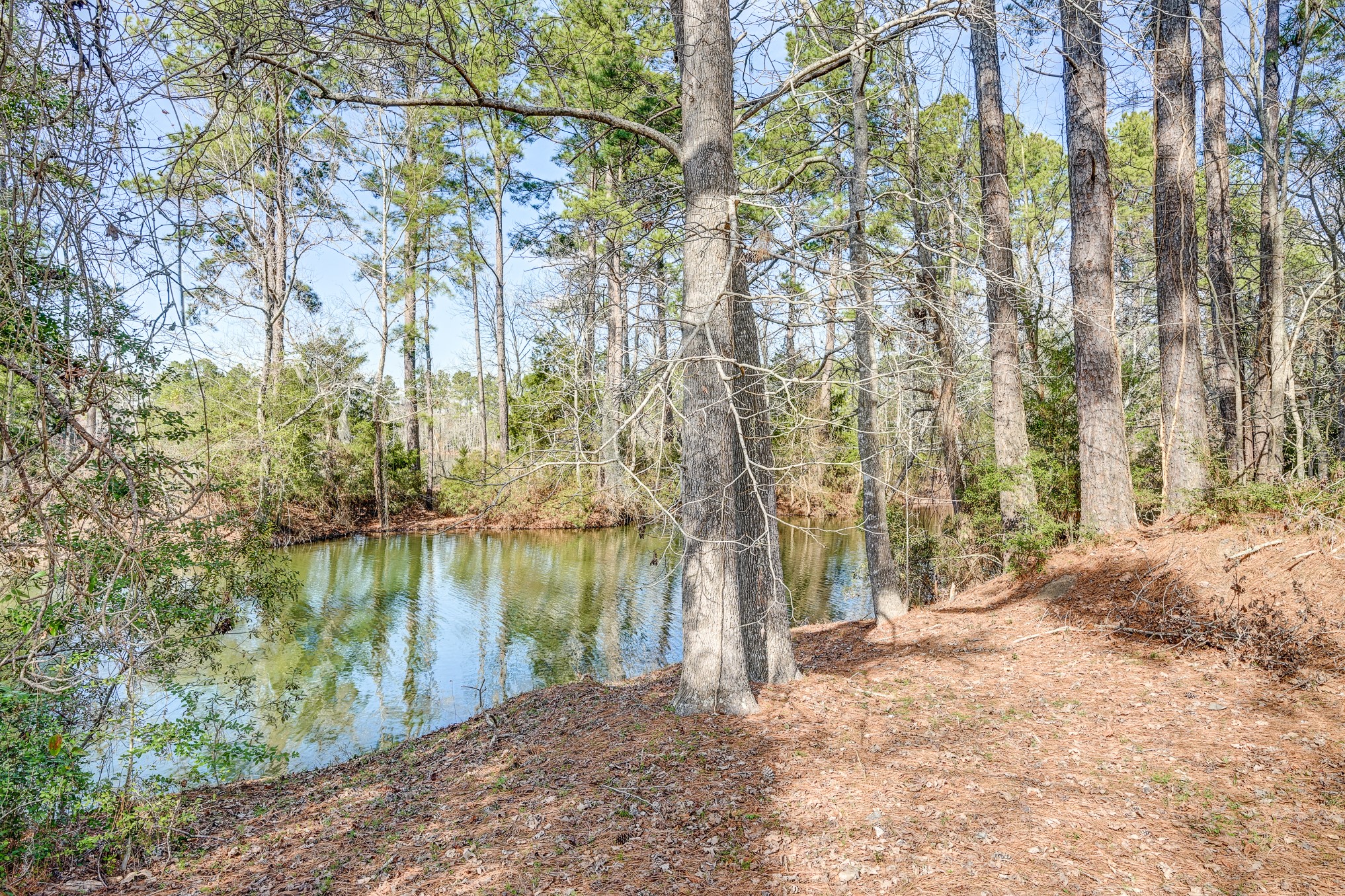 53 Smith Loop North Cleveland, TX 77327 - Photo 17 of 49 a view of lake with a yard