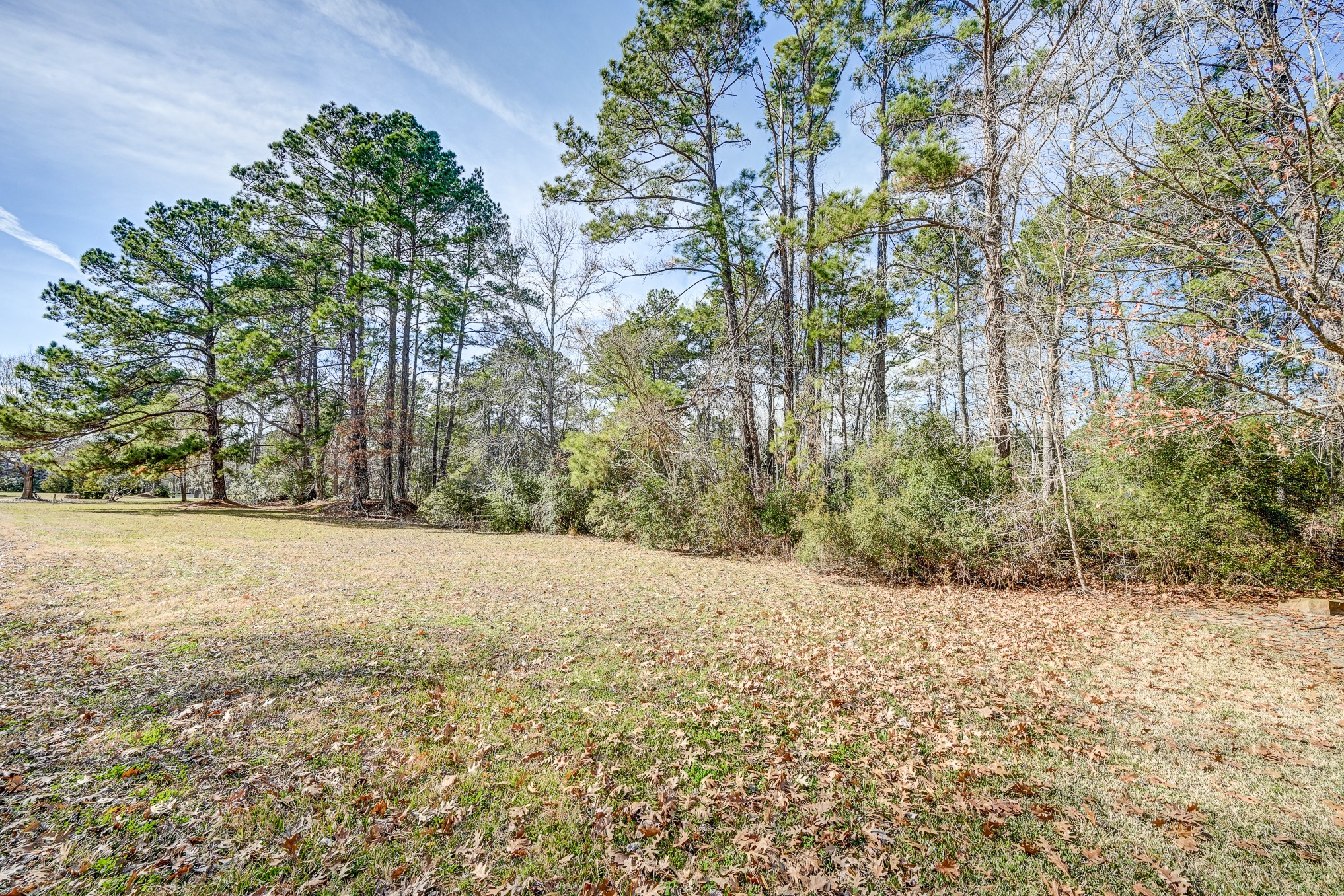 53 Smith Loop North Cleveland, TX 77327 - Photo 21 of 49 a backyard of a house with lots of green space
