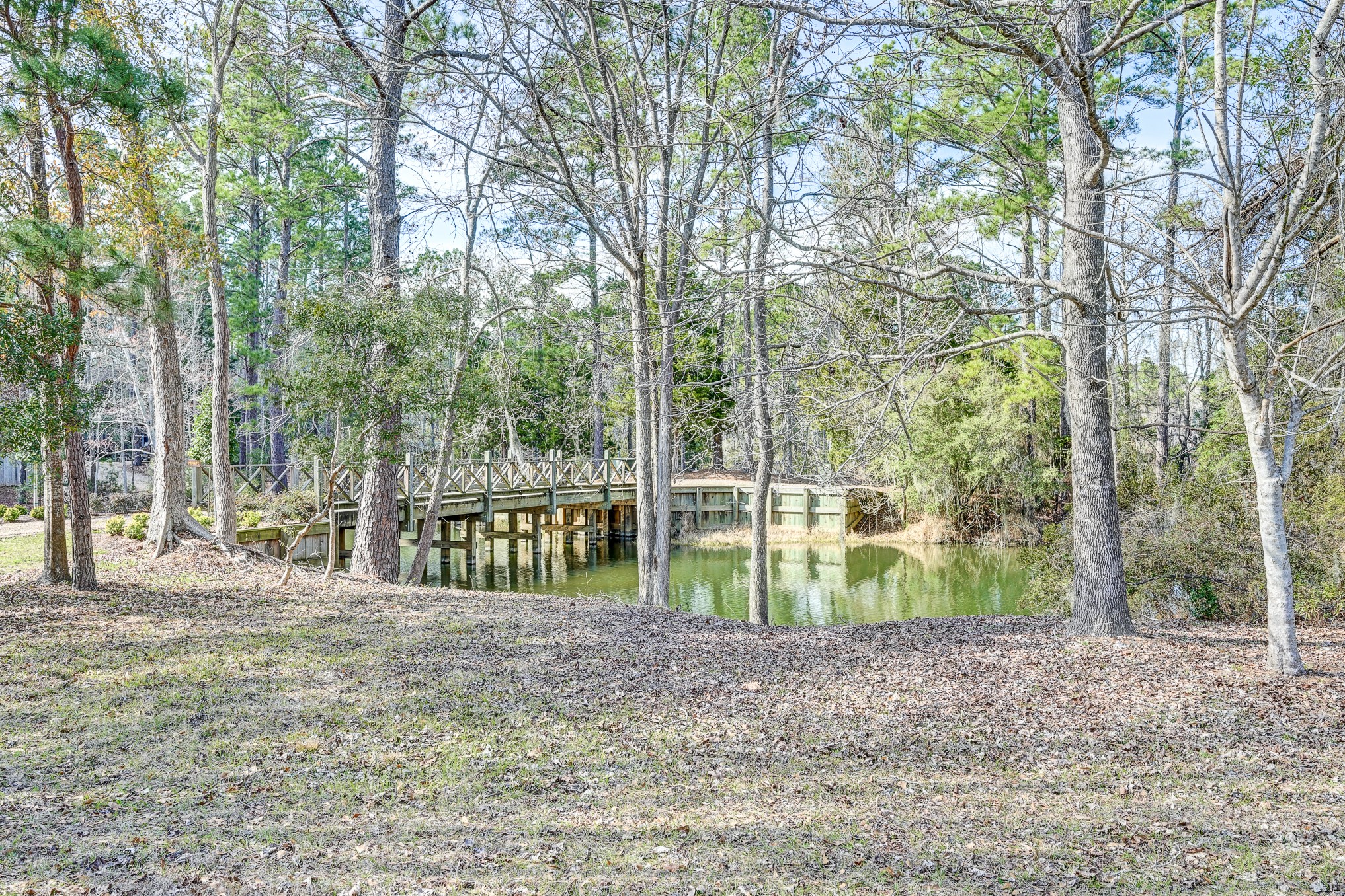 53 Smith Loop North Cleveland, TX 77327 - Photo 23 of 49 a view of a backyard with large trees