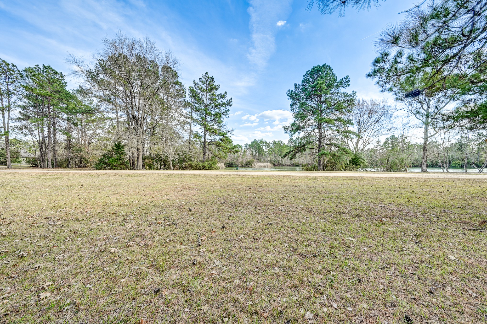 53 Smith Loop North Cleveland, TX 77327 - Photo 25 of 49 a view of outdoor space with yard