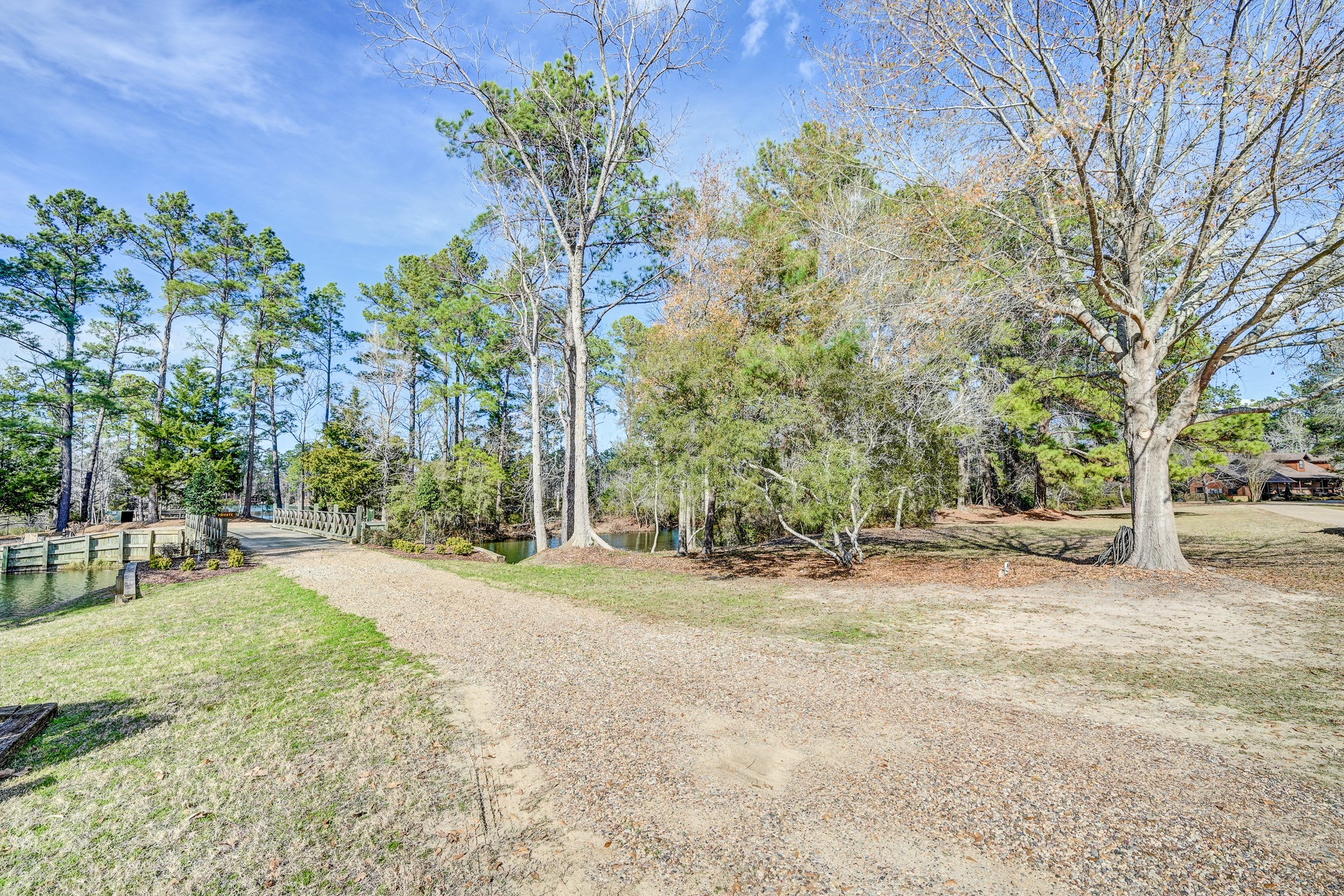 53 Smith Loop North Cleveland, TX 77327 - Photo 26 of 49 a view of a yard with a tree