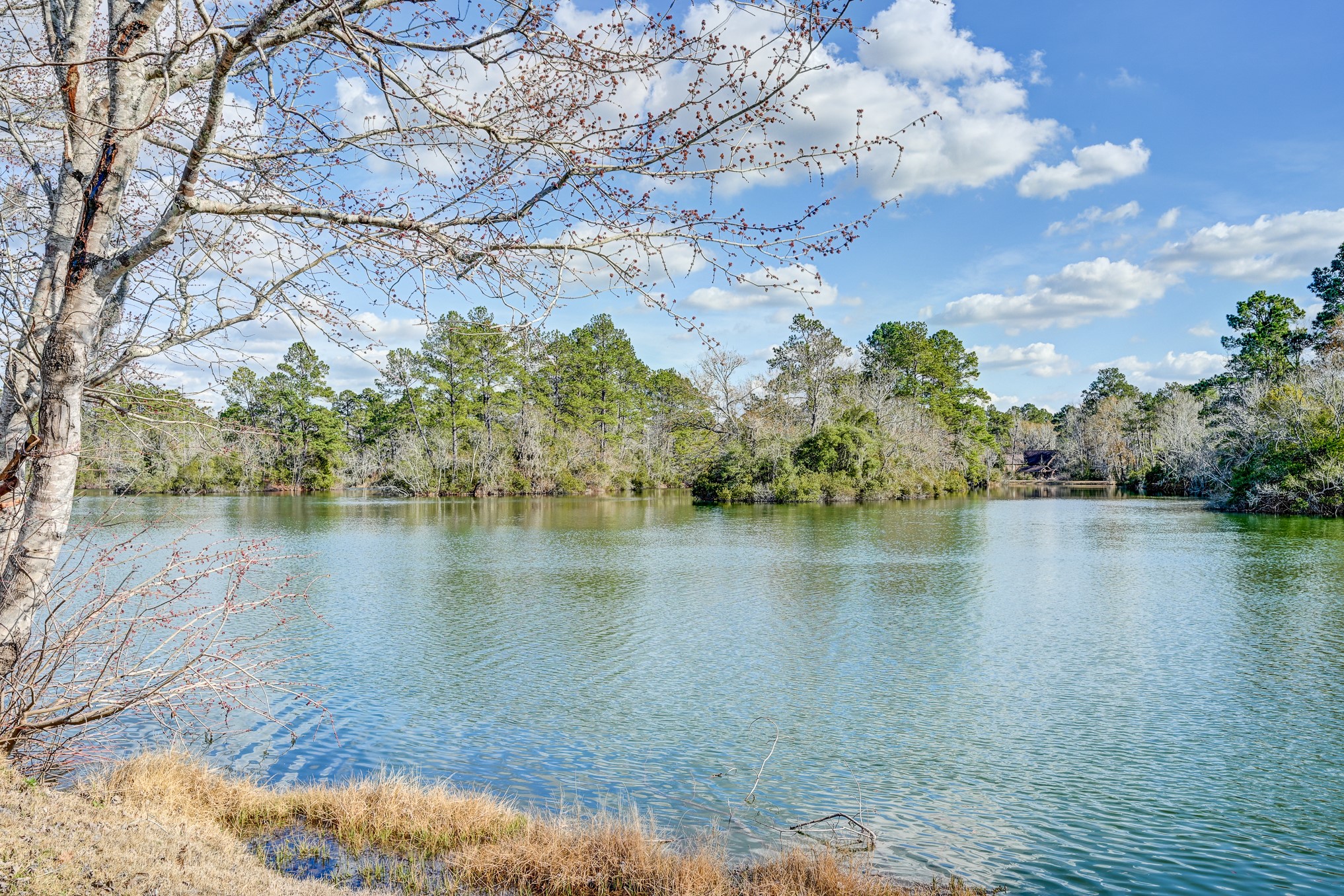 53 Smith Loop North Cleveland, TX 77327 - Photo 34 of 49 a view of lake