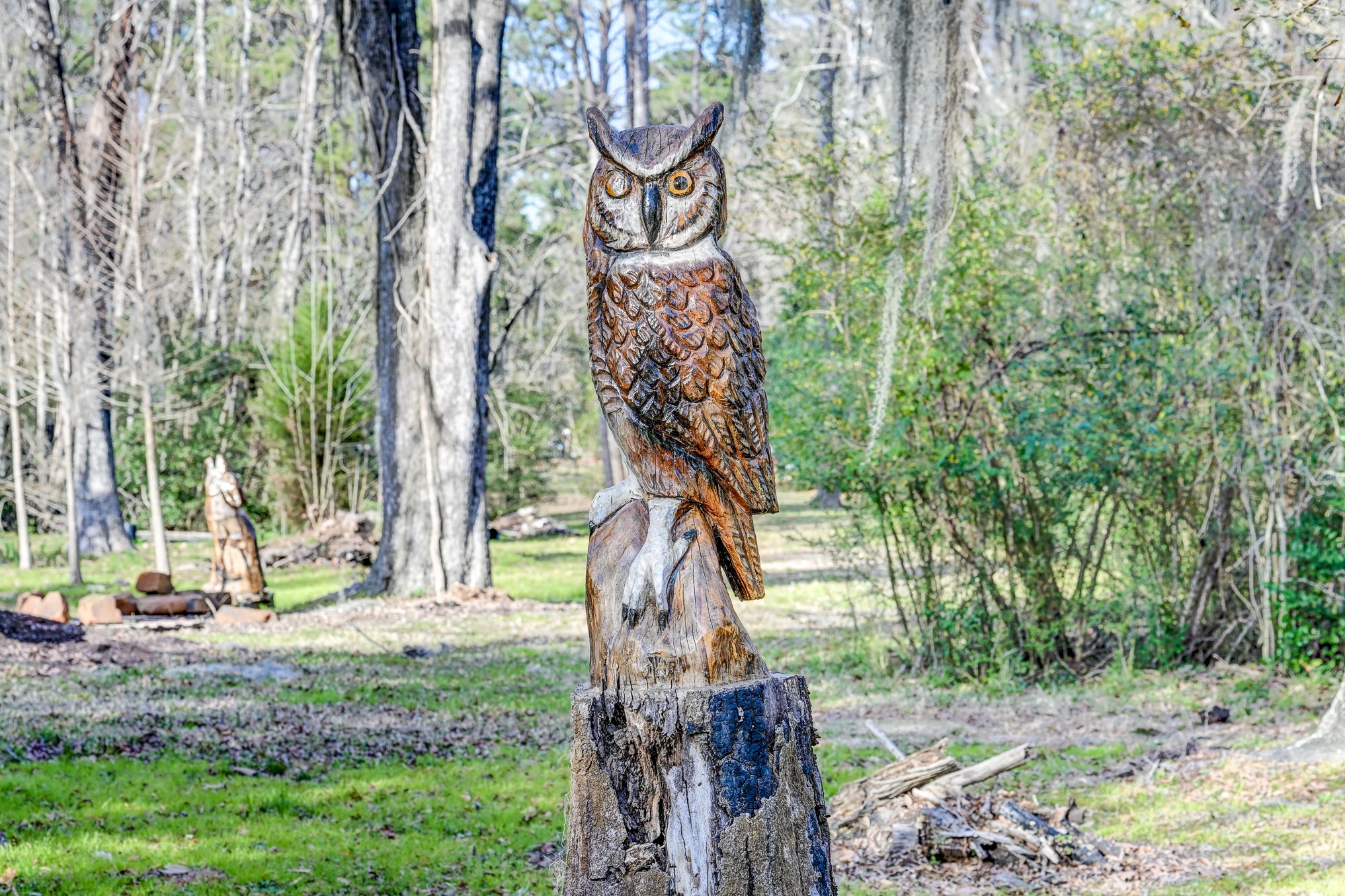 53 Smith Loop North Cleveland, TX 77327 - Photo 38 of 49 a view of a park with large trees