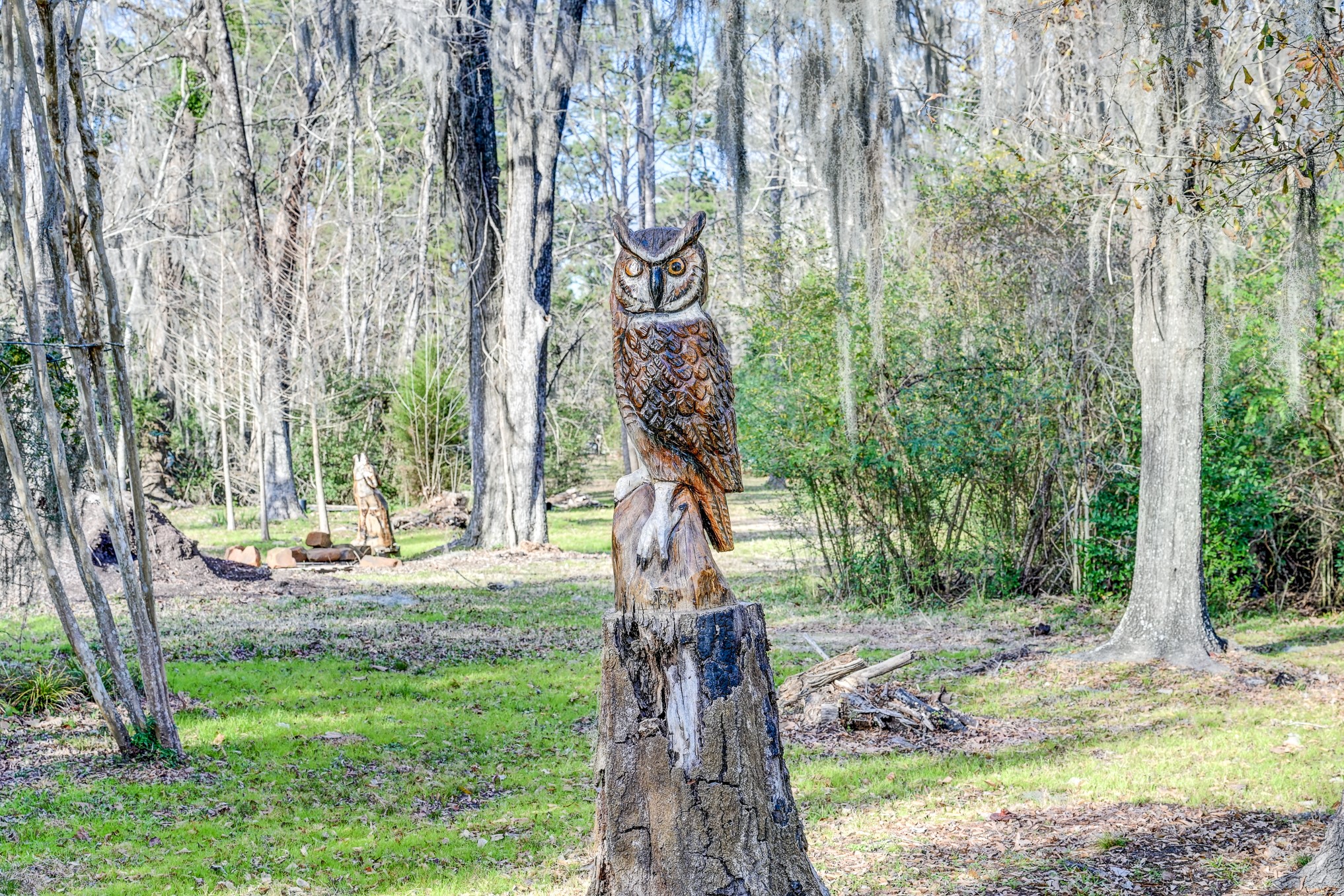 53 Smith Loop North Cleveland, TX 77327 - Photo 39 of 49 a front view of a house with a garden and trees