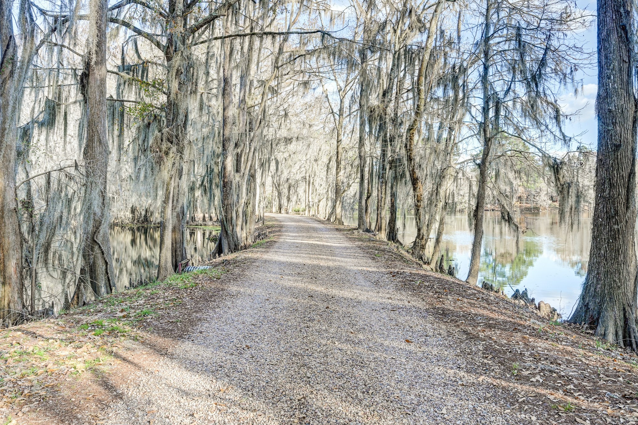 53 Smith Loop North Cleveland, TX 77327 - Photo 42 of 49 a view of backyard with green space