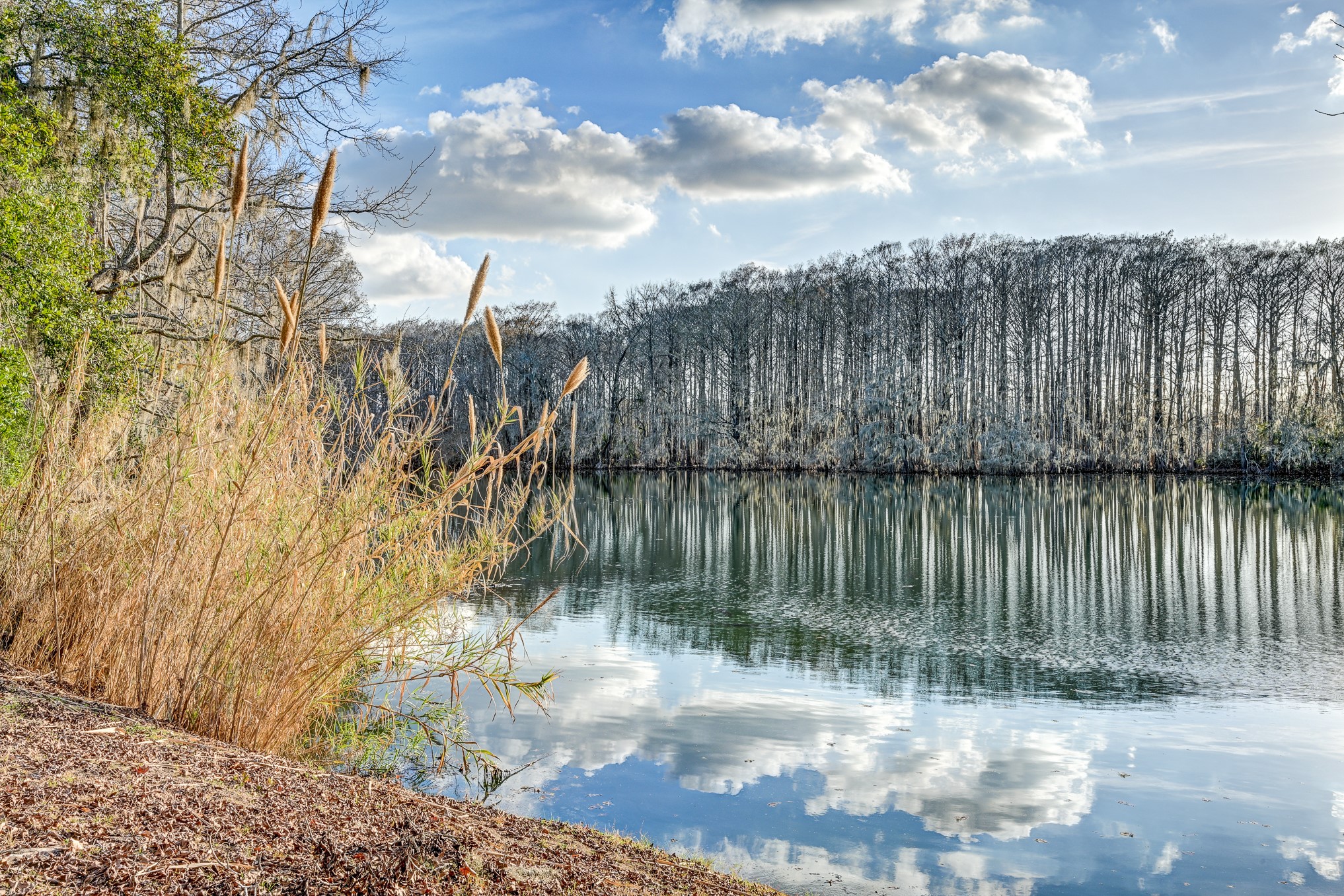 53 Smith Loop North Cleveland, TX 77327 - Photo 45 of 49 a view of lake from a lake