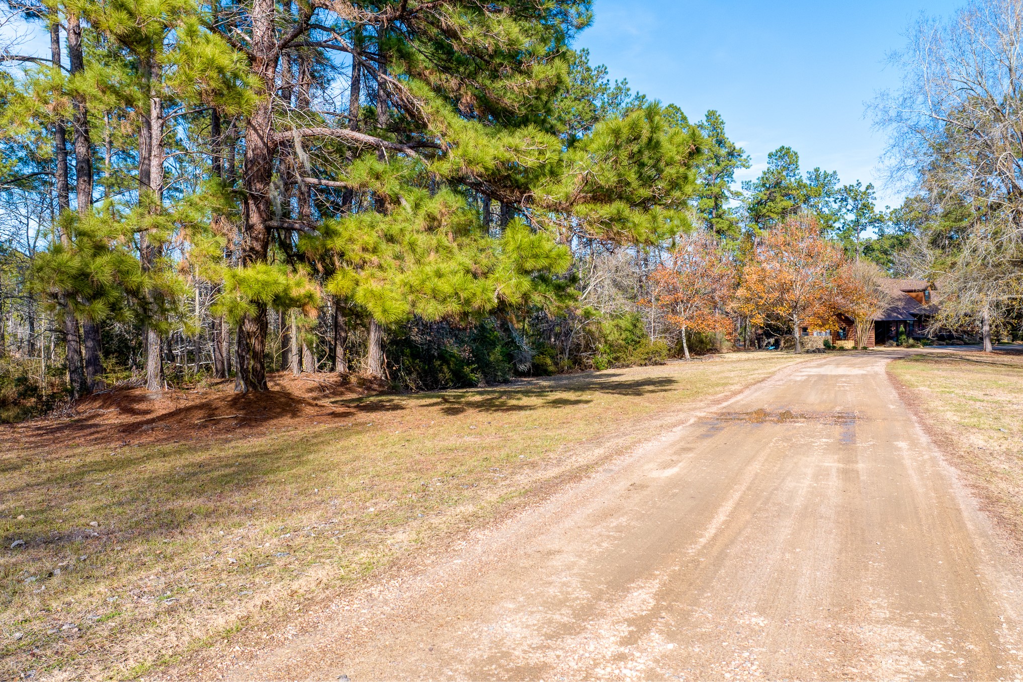 53 Smith Loop North Cleveland, TX 77327 - Photo 5 of 19
