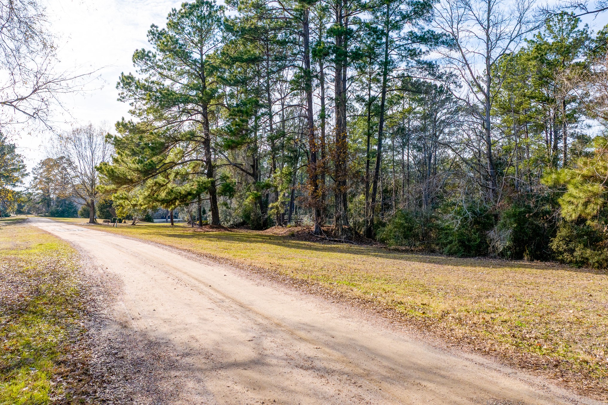 53 Smith Loop North Cleveland, TX 77327 - Photo 6 of 19