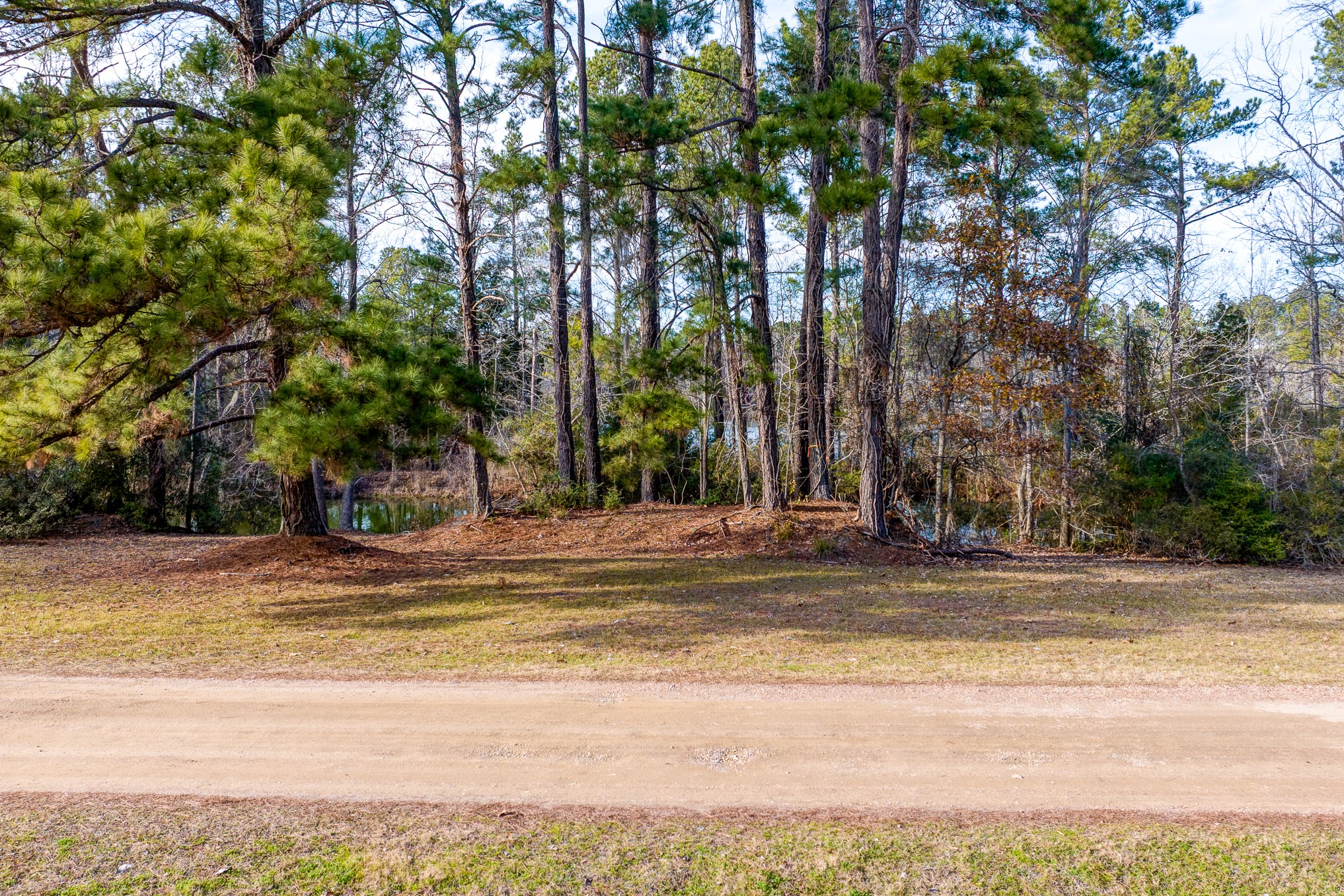 53 Smith Loop North Cleveland, TX 77327 - Photo 7 of 19