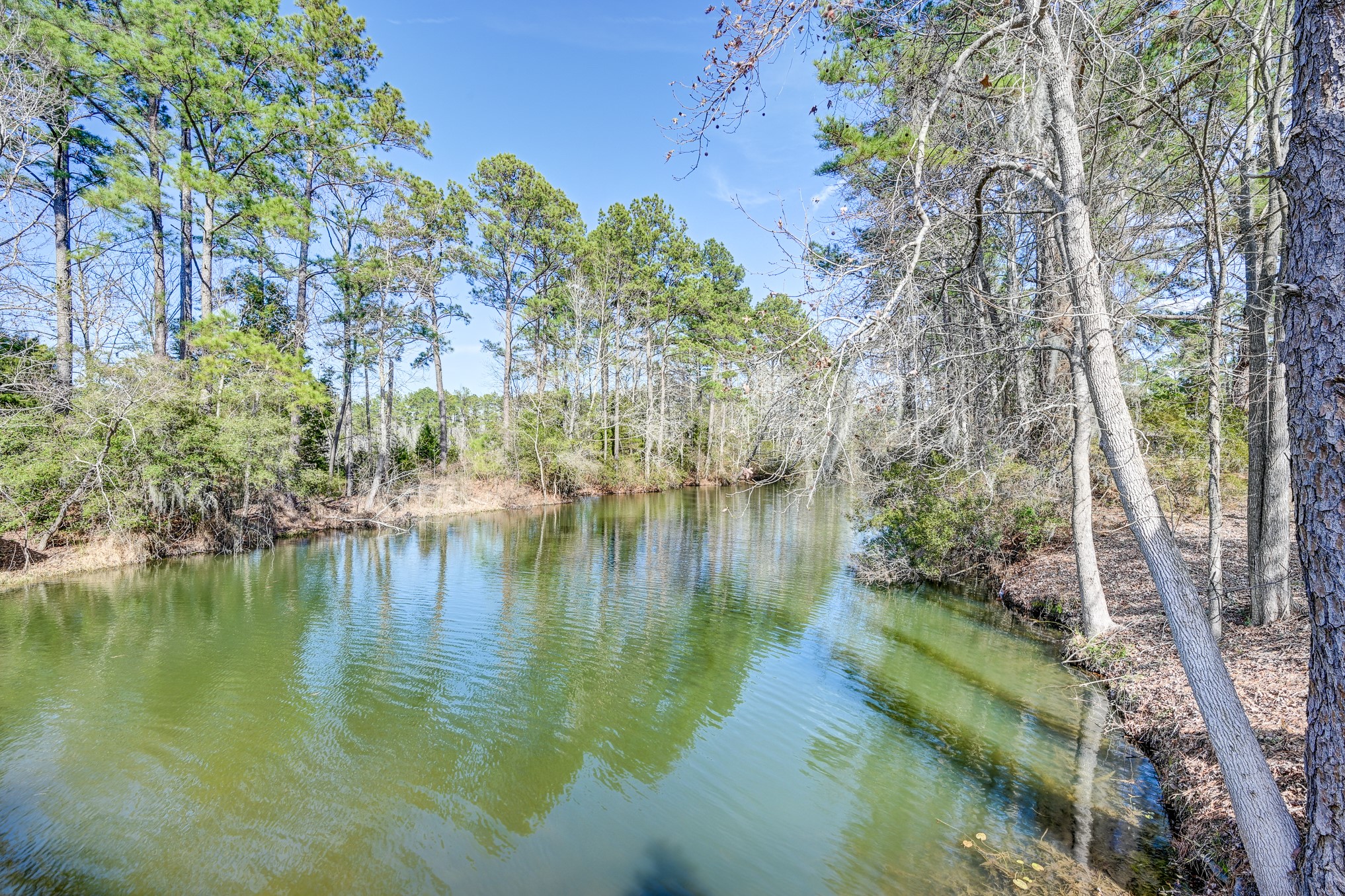 53 Smith Loop North Cleveland, TX 77327 - Photo 8 of 49 a view of lake