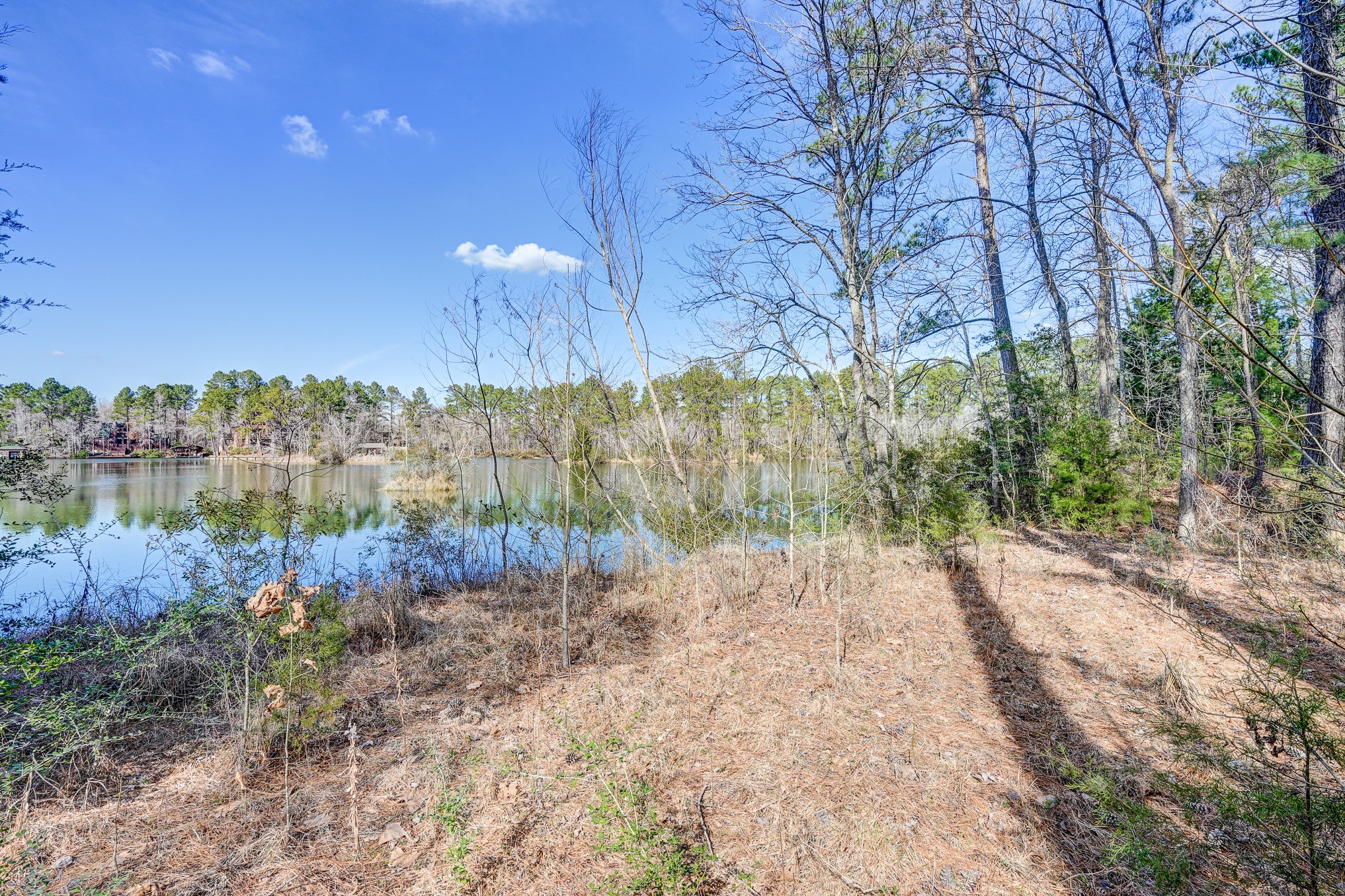 53 Smith Loop North Cleveland, TX 77327 - Photo 10 of 49 a view of outdoor space and yard