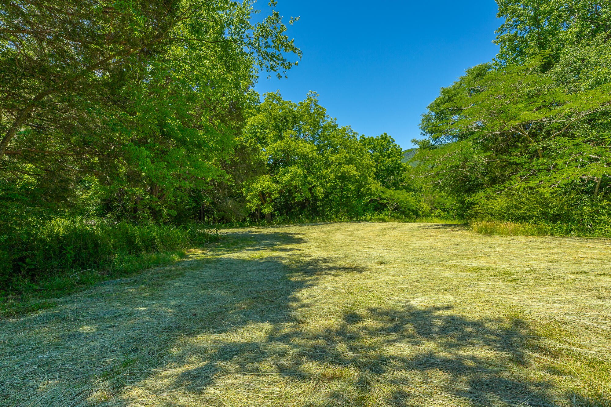 1655 West Cove Road Chickamauga, GA 30707 - Photo 29 of 62 Gallery Image 29