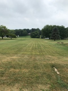 a view of outdoor space and yard