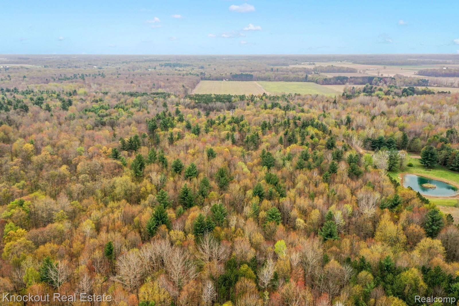 6288 Murphy Lake Road Millington, MI 48746 - Photo 66 of 69 6288 Murphy Lake Rd Millington-75.jpg