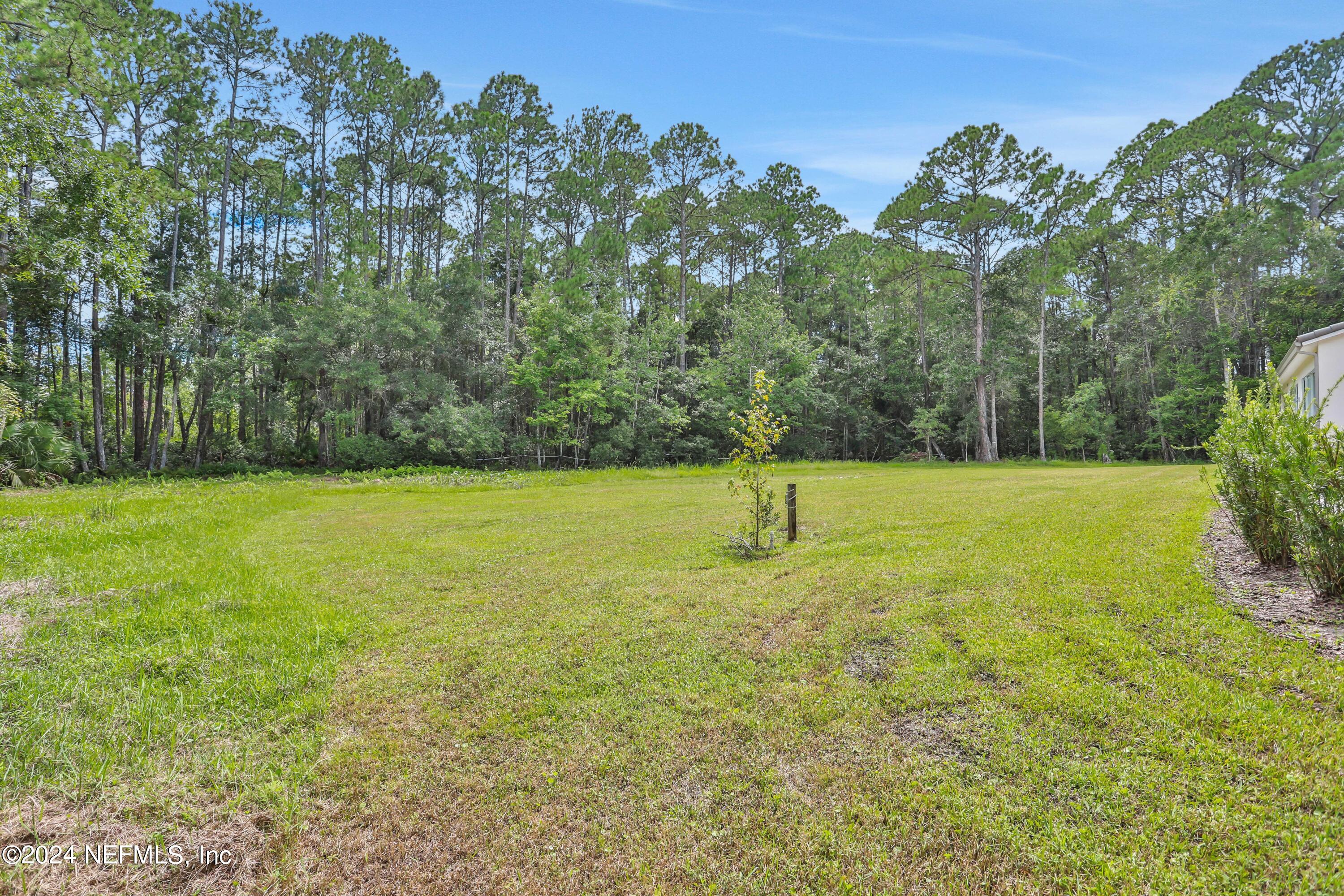 432 AJ Mills Road Ponte Vedra, FL 32081 - Photo 63 of 73 Backyard