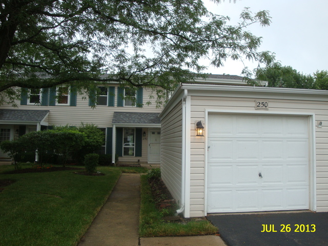 250 Rodenburg Road Roselle, IL 60172 - Photo 13 of 13 a front view of a house with a garden