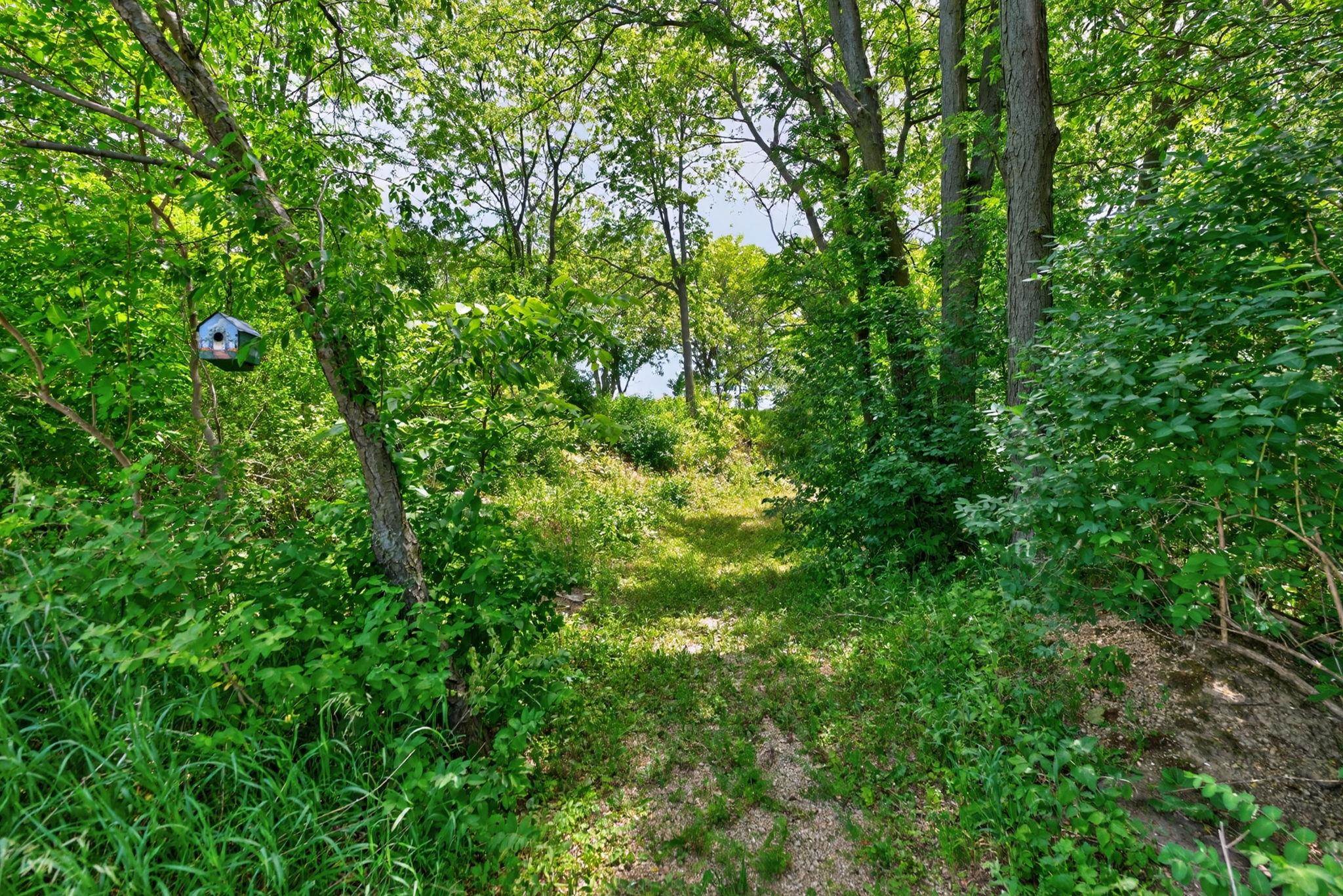 6880 East Cherry Hill Road Ridott, IL 61067 - Photo 50 of 60