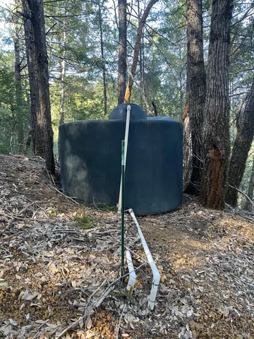 a backyard of a house with a trees