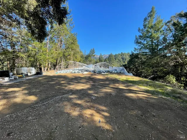 a view of road with large trees