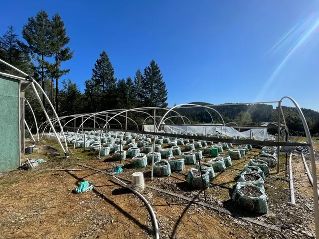 a view of a patio with table and chairs with wooden fence and plants