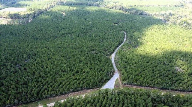 $602,646 | 450 Hwy Franklinton La, Franklinton, LA 70438