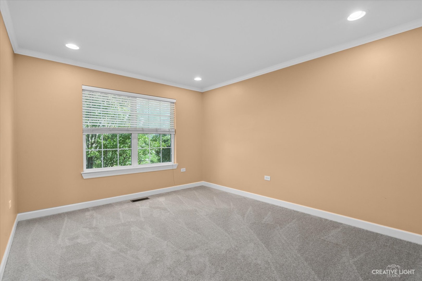 1162 Winding Way Bolingbrook, IL 60490 - Photo 20 of 32