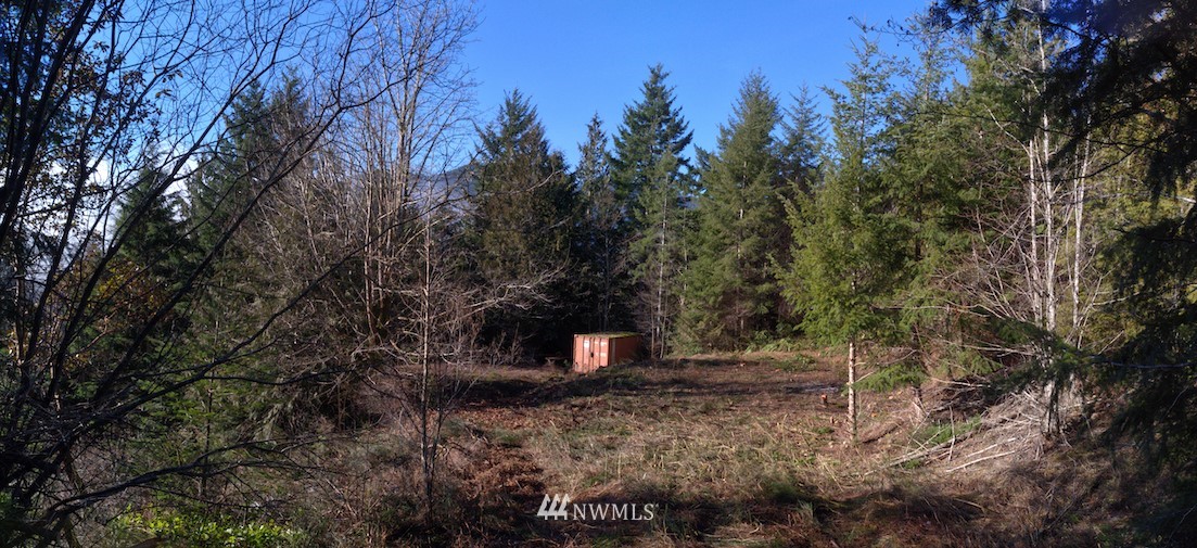 505 Love Road Brinnon, WA 98320 - Photo 2 of 26 Gallery Image 2