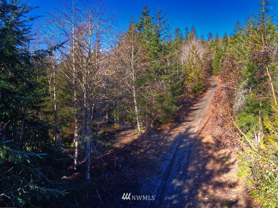 505 Love Road Brinnon, WA 98320 - Photo 4 of 26 Gallery Image 4