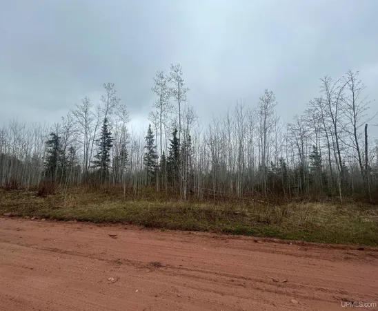 $33,000 | 1 Iron Pin Trail, Gwinn, MI 49841