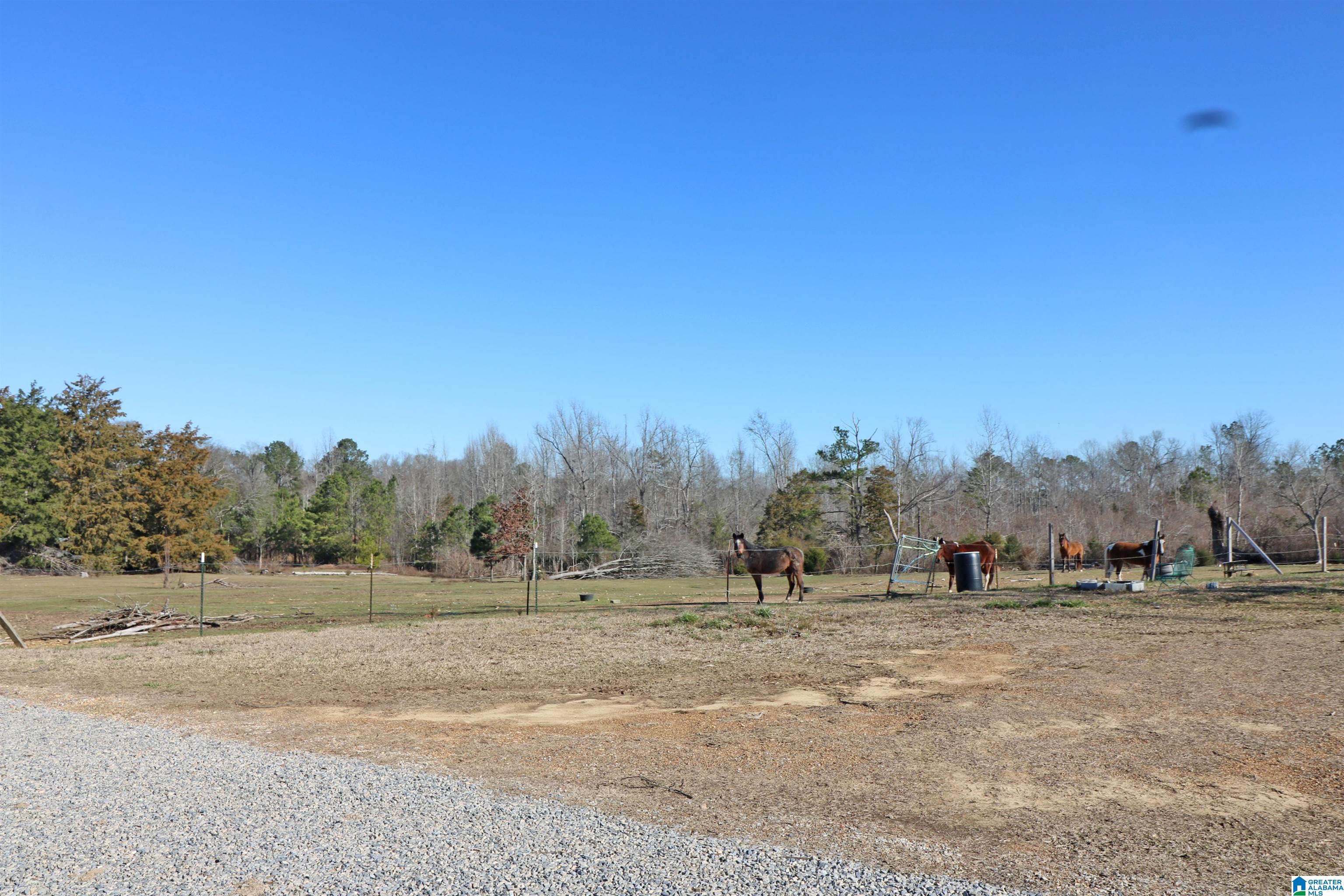 400 3 Cedars Road Ohatchee, AL 36271 - Photo 39 of 44