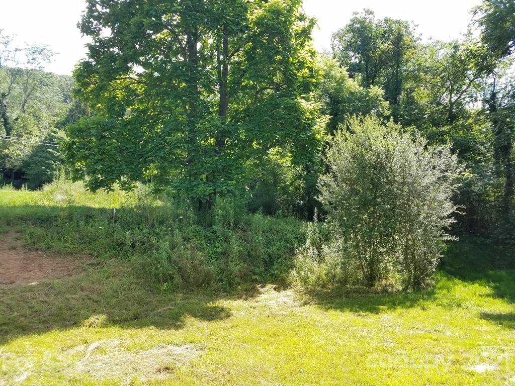 80 1/2 Rice Branch Road Asheville, NC 28804 - Photo 15 of 15 Gallery Image 15