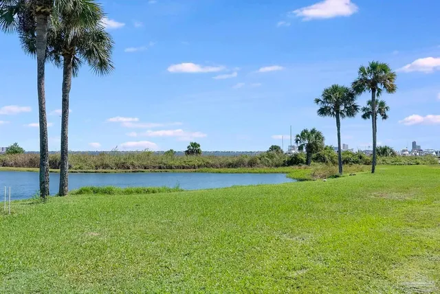 a view of lake with palm trees
