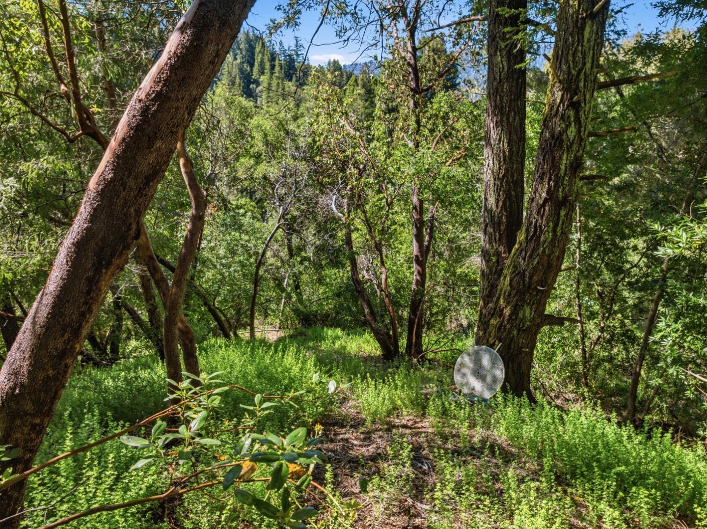 360 Rincon Way Boulder Creek, CA 95006 - Photo 28 of 46