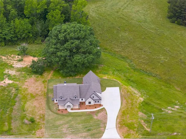 a small pool with some tall trees
