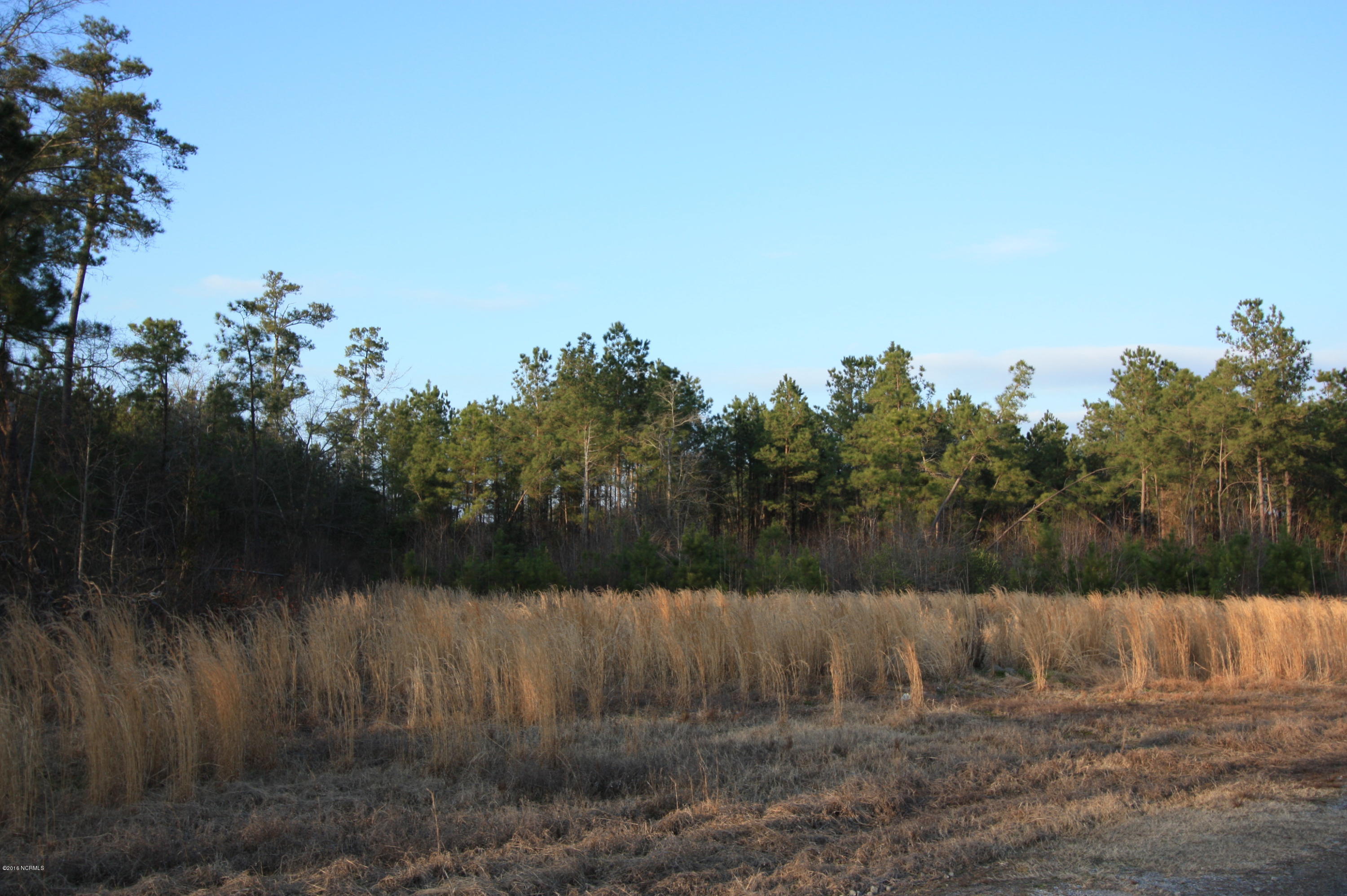 Lot 1 Sandy Road Fairmont, NC 28340 - Photo 1 of 1 Land 032