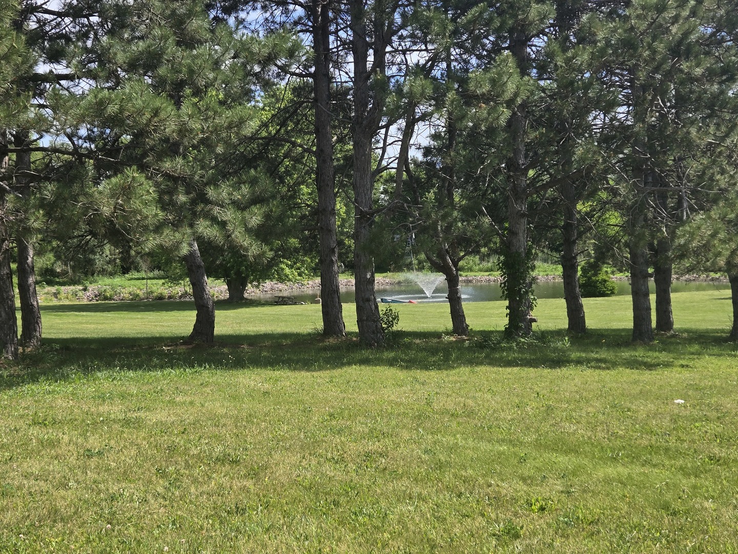 17823 Haas Road Mokena, IL 60448 - Photo 6 of 8