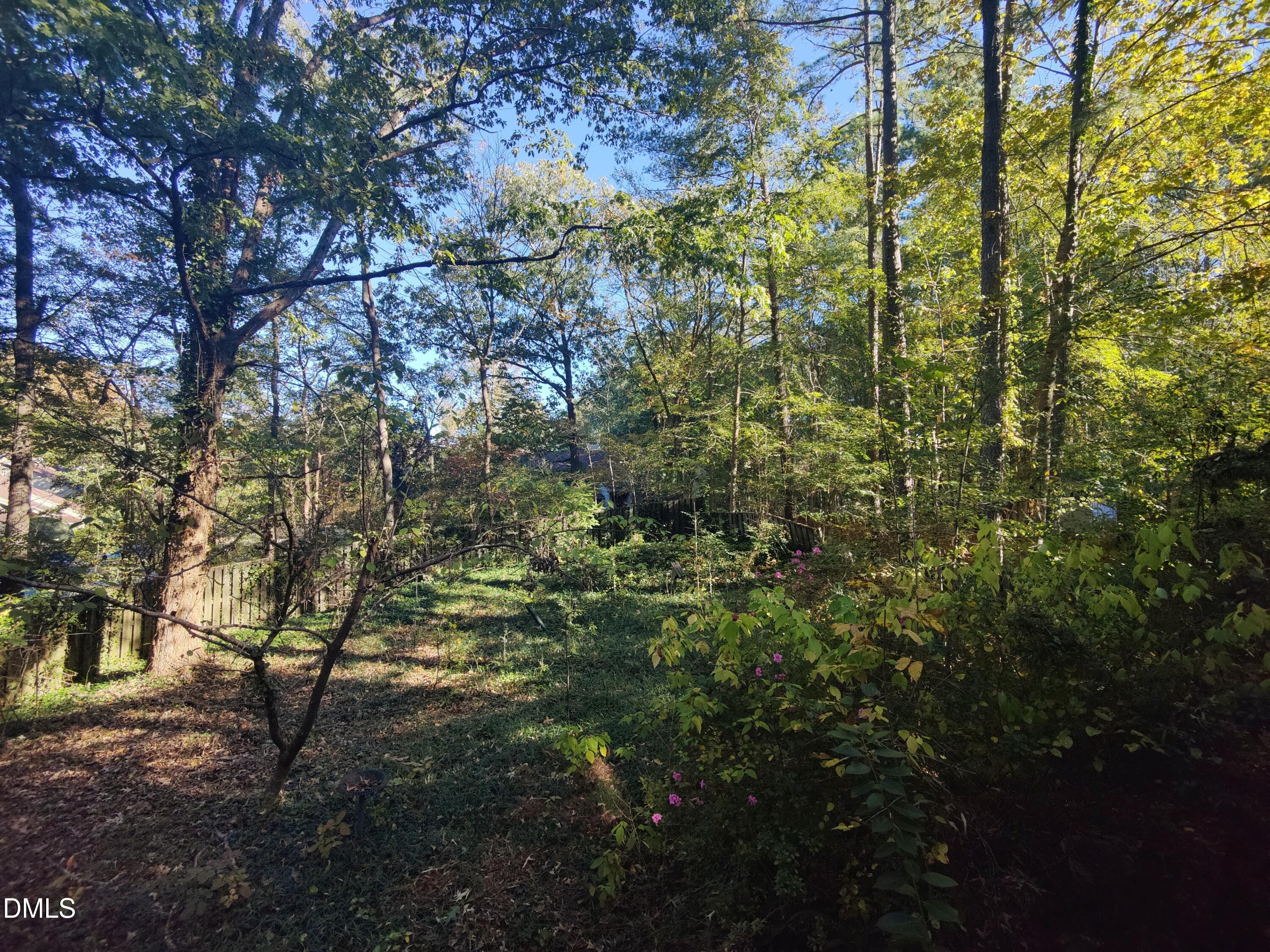 5008 Butternut Road Durham, NC 27707 - Photo 60 of 70 Back Yard