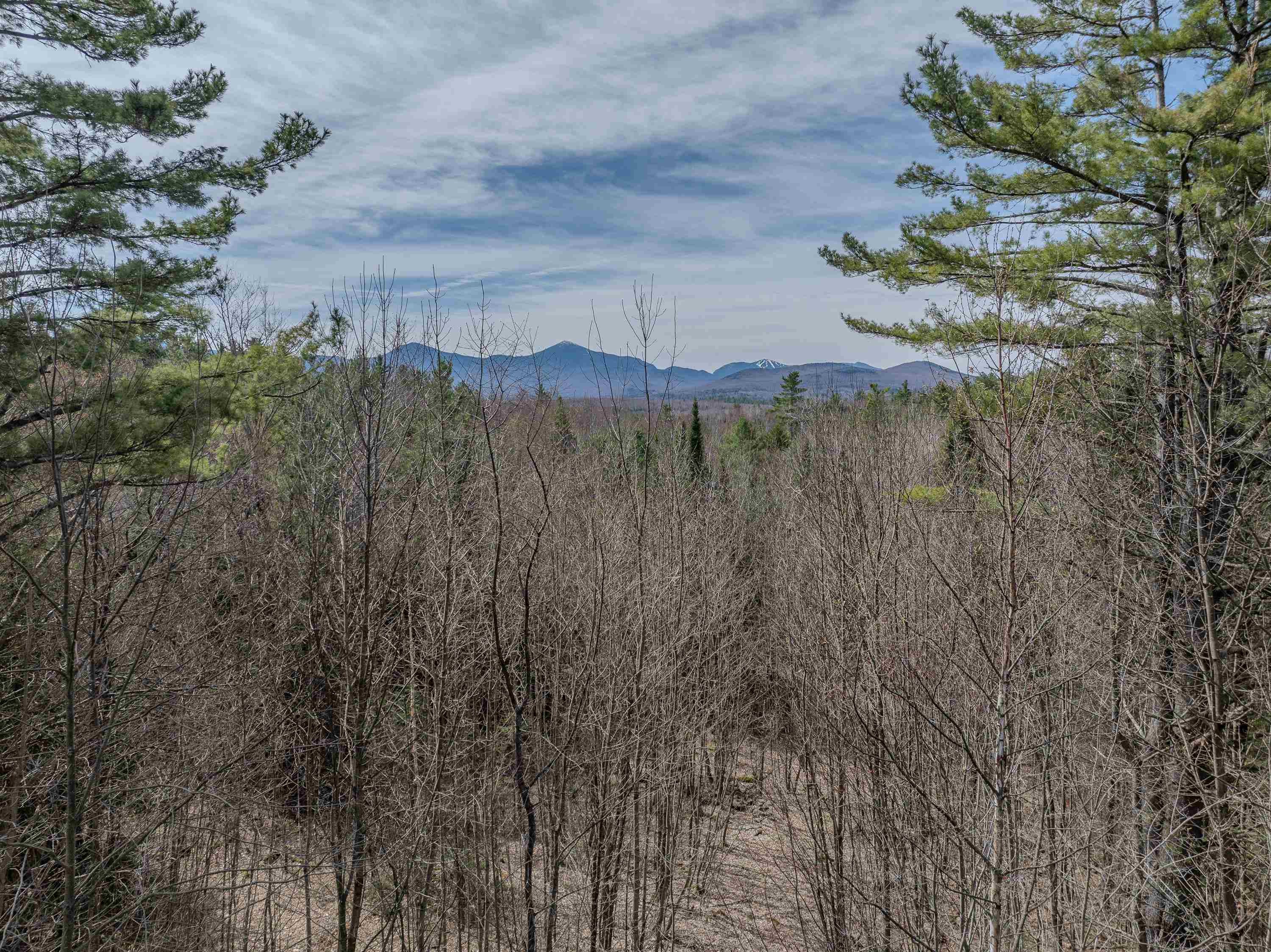 0 Gould Road Whitefield, NH 03598 - Photo 1 of 29 Gallery Image 1