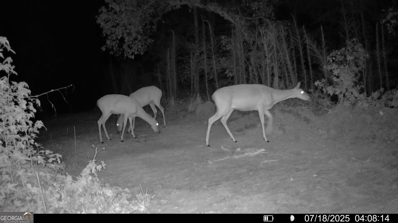 2 Bunch Road Tignall, GA 30668 - Photo 23 of 31 a view of a chairs and table in backyard