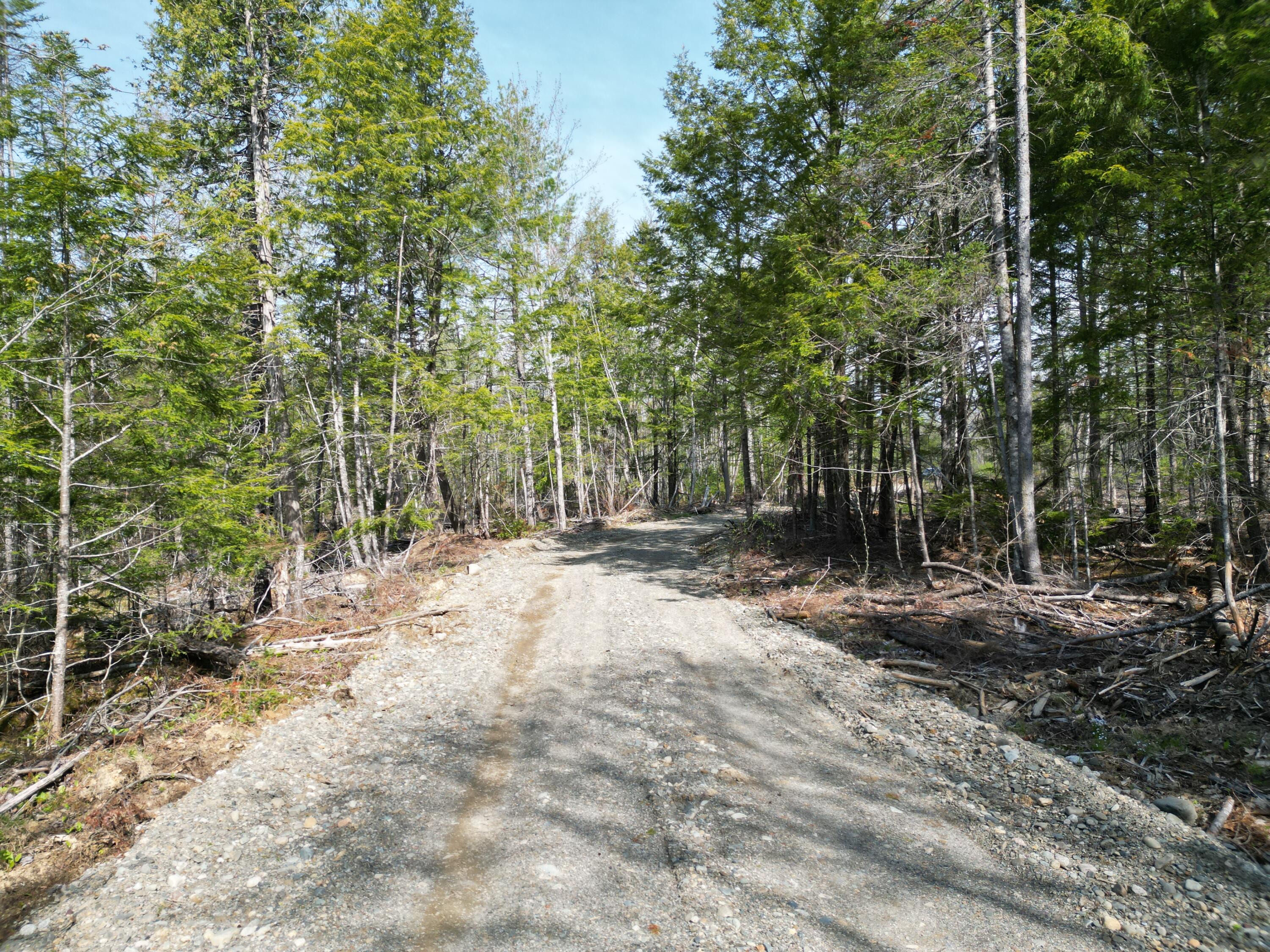 Lot 1 Mattamiscontis Road Howland, ME 04448 - Photo 9 of 15 DJI_0517