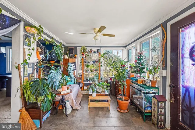 a living room filled with furniture and a potted plant