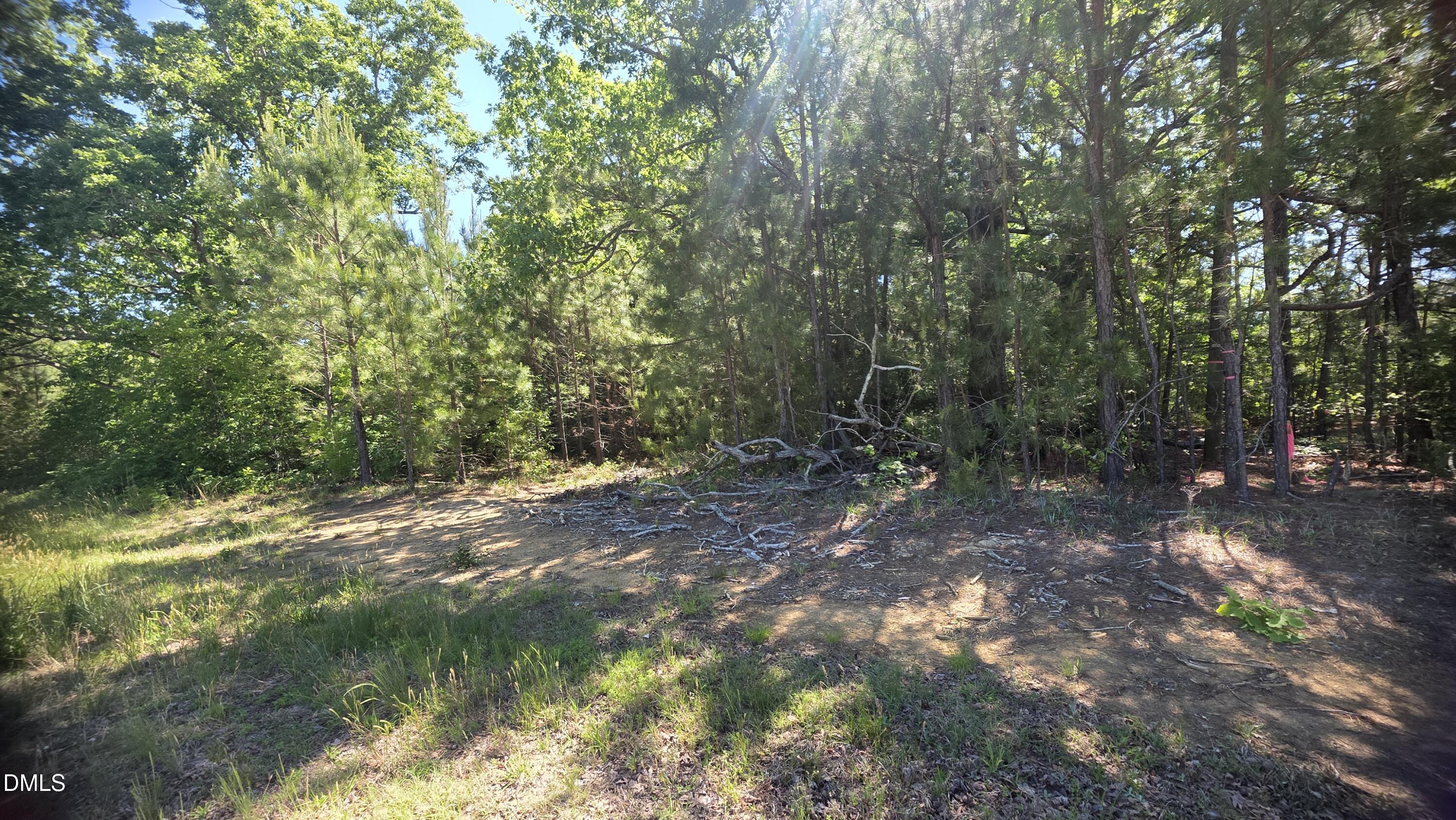 0 Laurel Mill Road Louisburg, NC 27549 - Photo 2 of 24