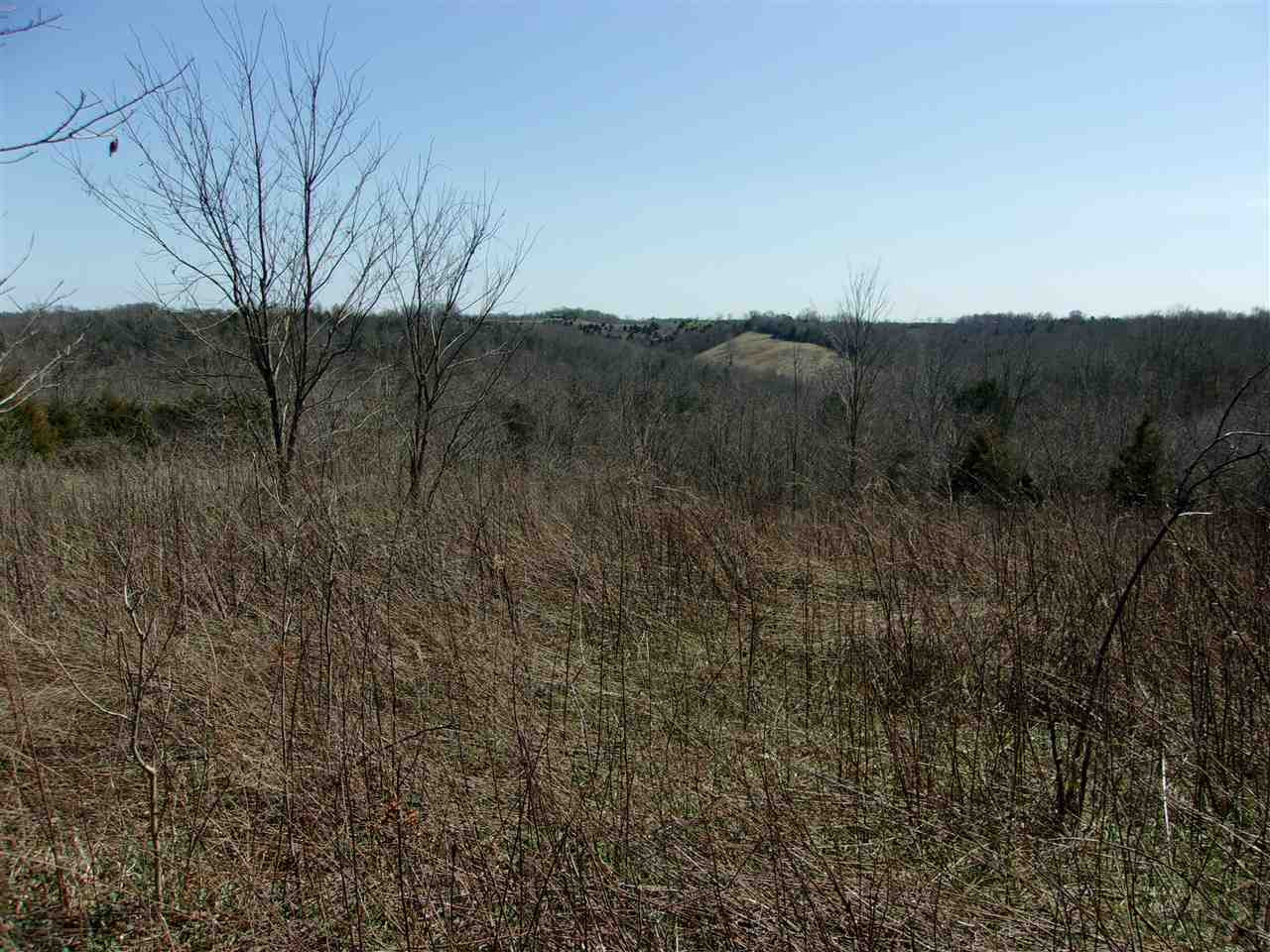 50-ac Central Ridge Road Mount Olivet, KY 41064 - Photo 1 of 30 Gallery Image 1